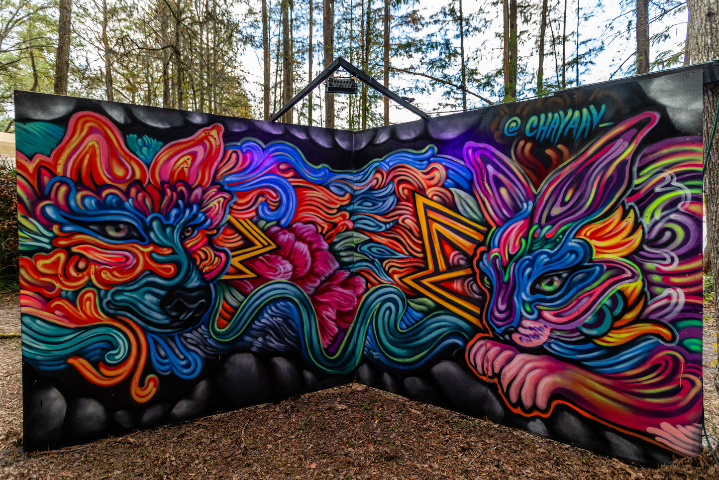 'Wolf Cat Flow'-ChayaAv-2018|Mural Maze Canvas Print image 2