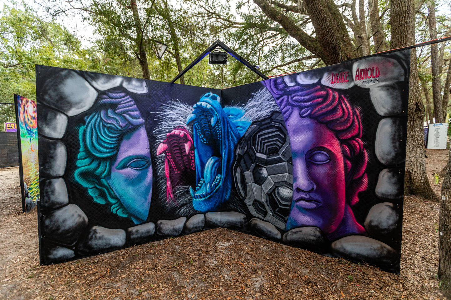 'Split Face Wolf-Drake Arnold-2022|Mural Maze Canvas Print image 2